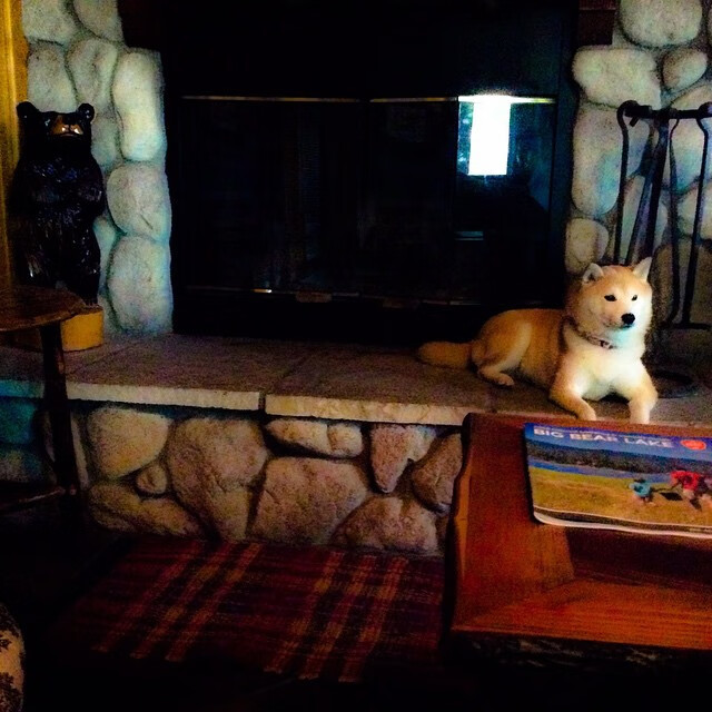 跨洋隔空对战，当新疆队破译雄鹿队的战术密码，远在纽约的保罗成了关键先生