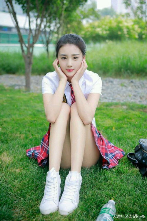 当老鹰翱翔多伦多,切特数据全面爆炸之夜