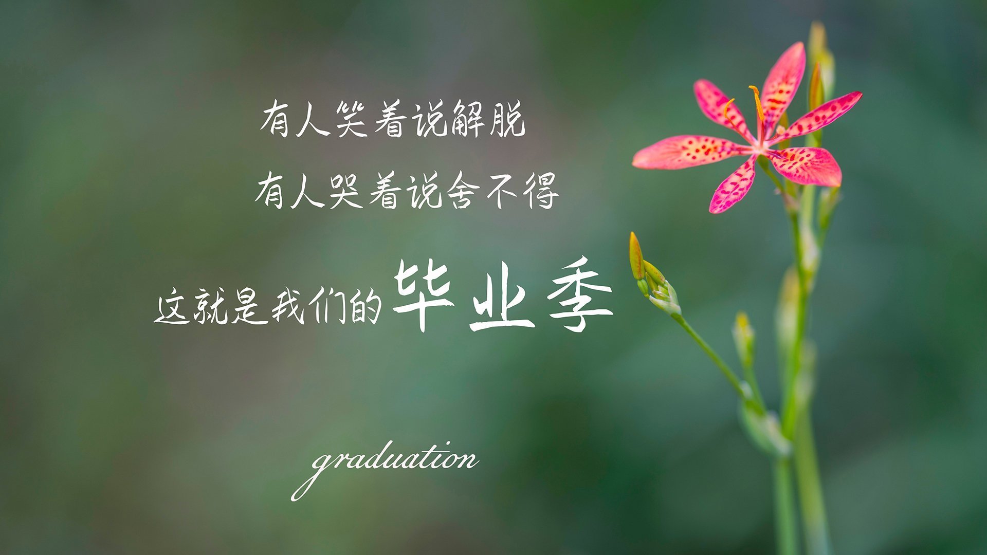 历史的回声,当蒂亚戈照亮诺坎普,一场胜利与百年执念的遥远重逢