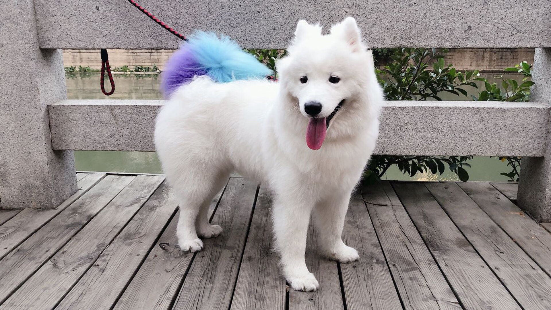 唯一夜晚,世界杯拒绝加冕的硬仗之王