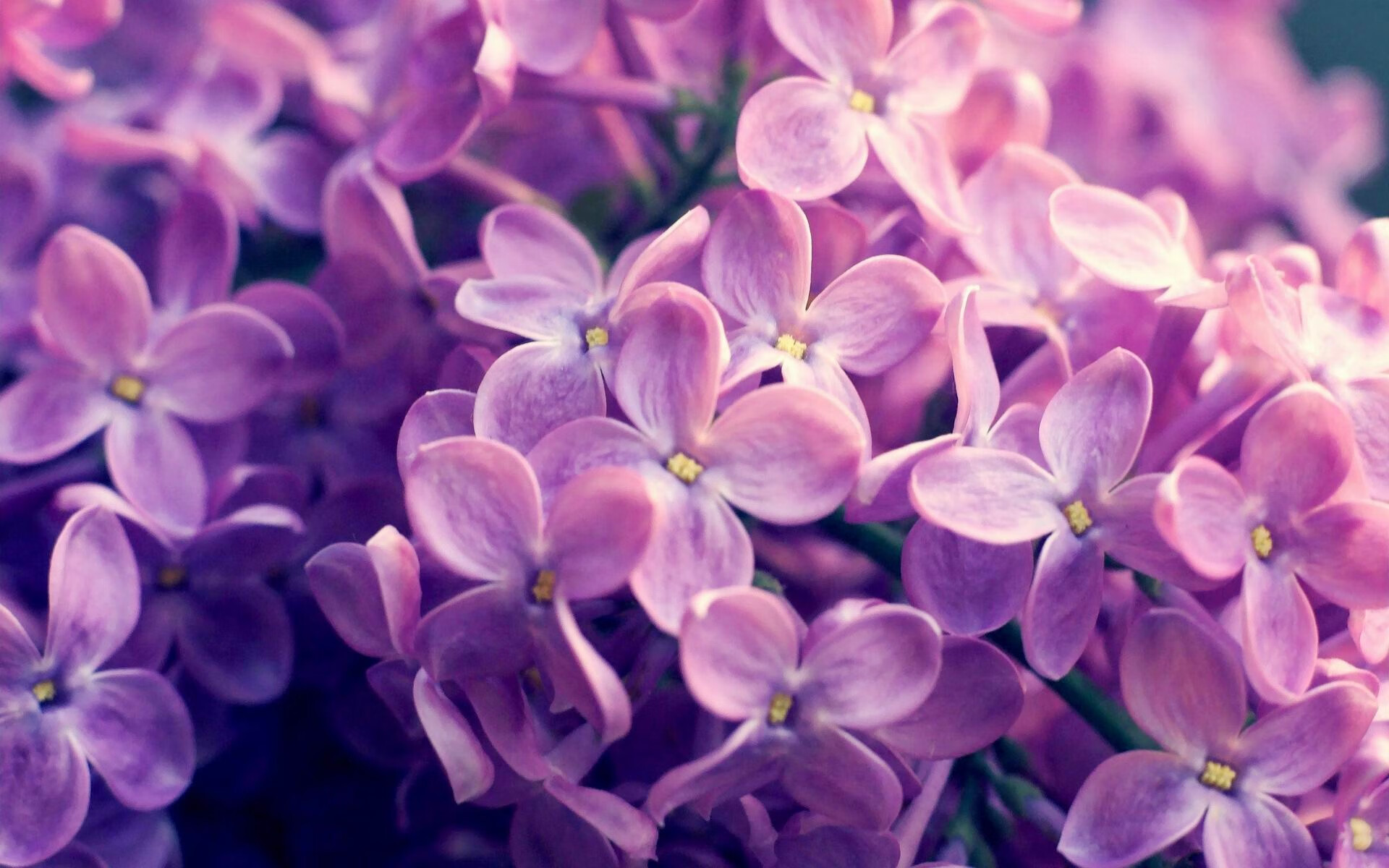 东方火力轰鸣，西部孤雄传说，当深圳的暴雨淋透达拉斯的黄昏