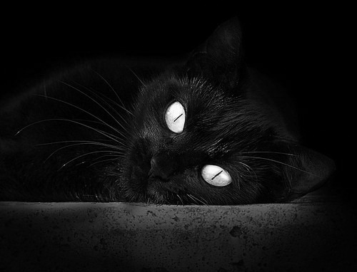 巨星闪光与体系碾压，贝恩的孤星璀璨，雄鹿的团队围猎