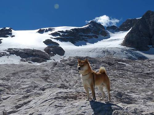 卡拉斯科的关键节点,雷恩对阵哥伦比亚的连续得分盛宴