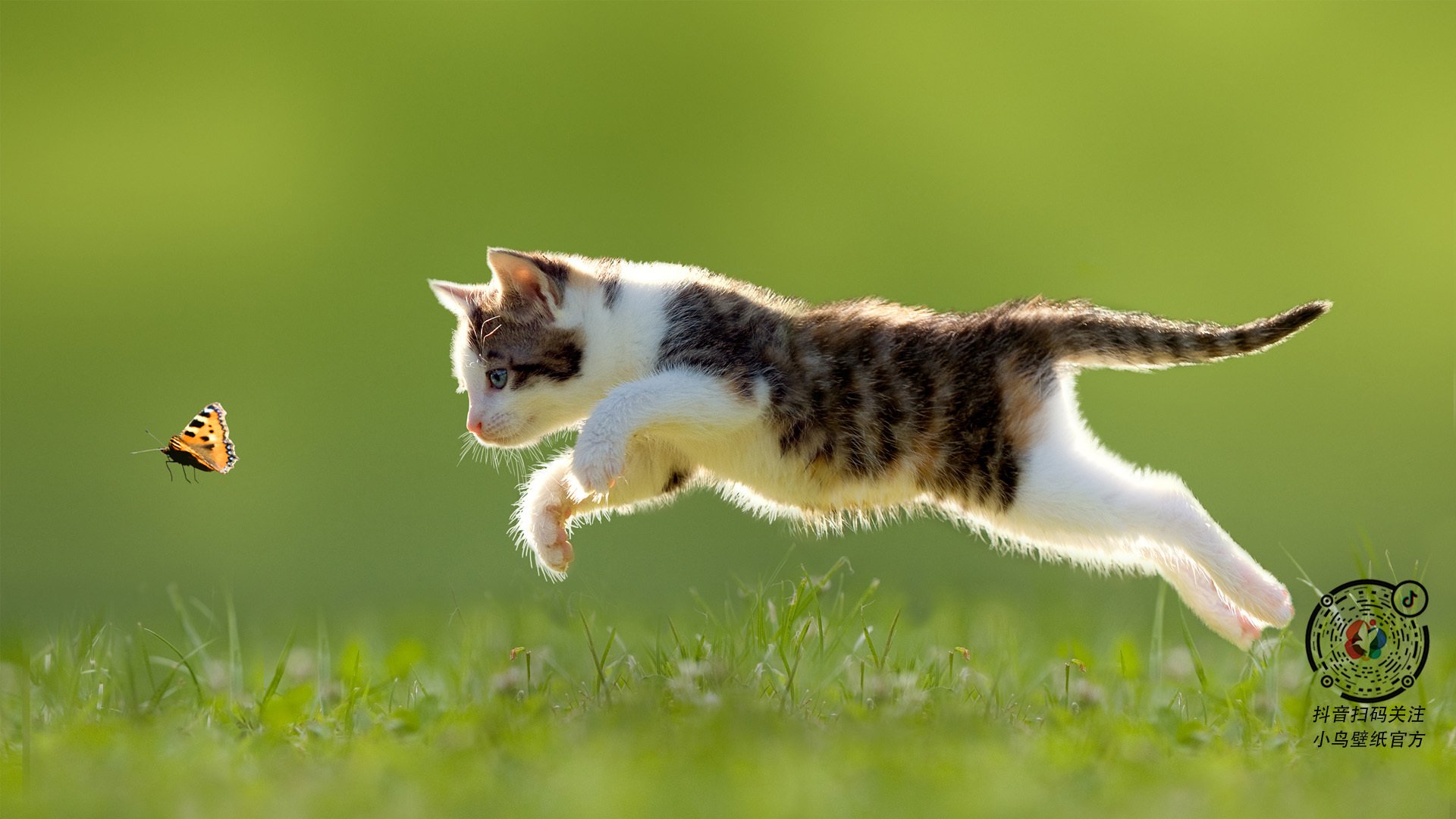 绿茵鬼影撕裂防线，当劳塔罗在NBA季后赛之夜末节接管比赛