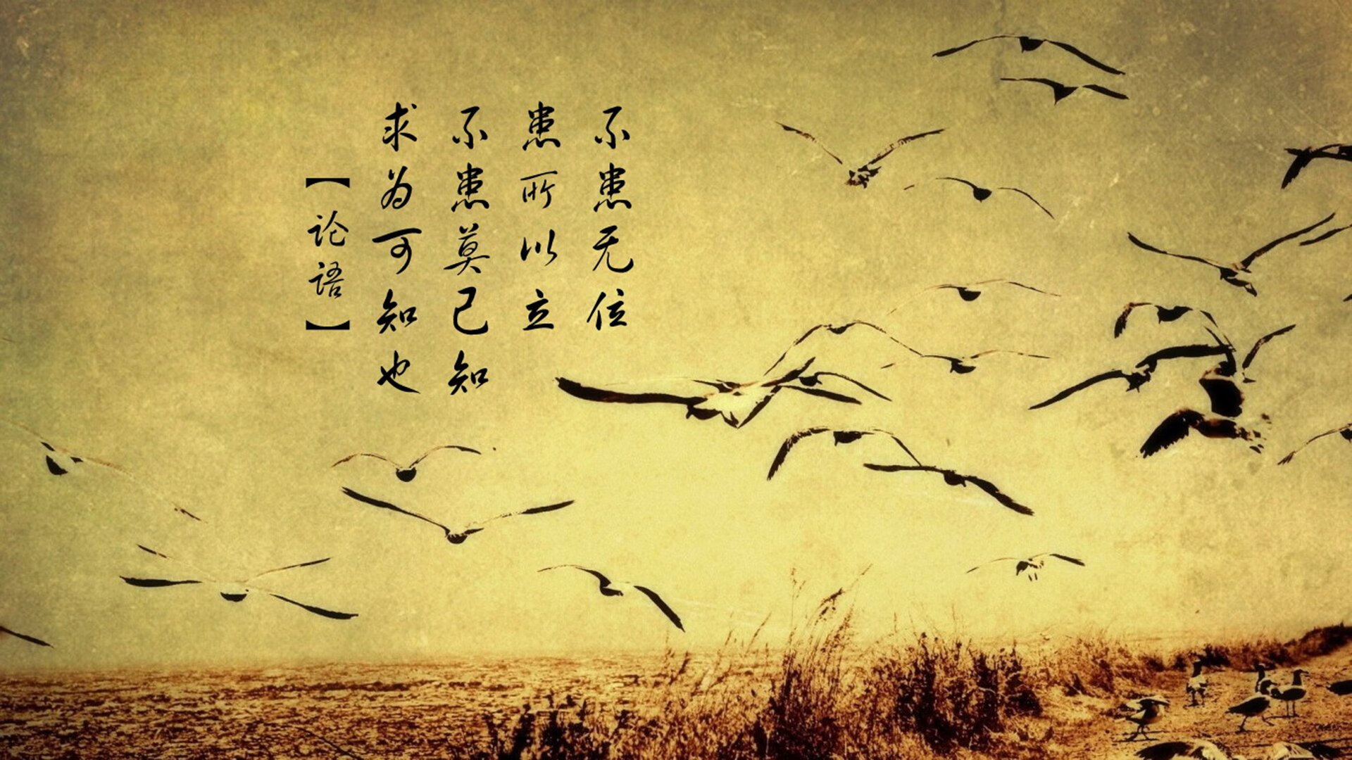 体育跨界交响,快船火力席卷深圳彰显篮球统治力,贝恩意甲焦点战接管比赛演绎足球个人英雄主义