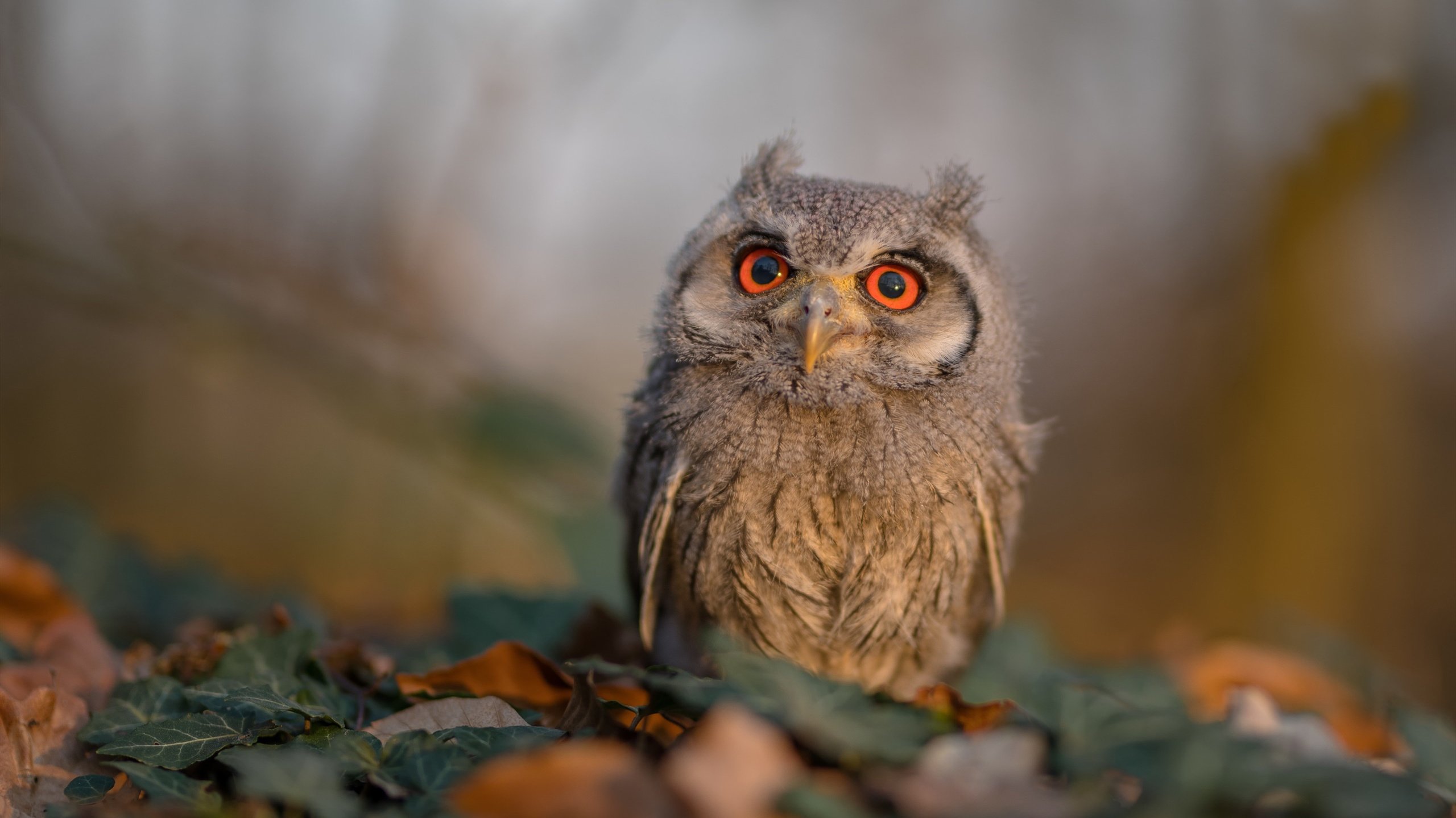 塞维利亚3-0毕尔巴鄂，坎特完美演绎防线爆破术