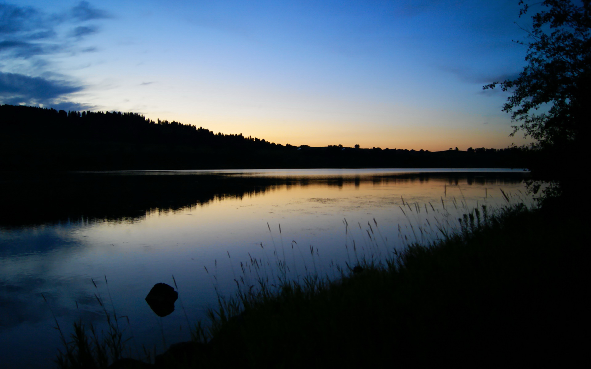 维尼修斯，一朵燃烧的荆棘玫瑰，与马里铁壁的沉默对话