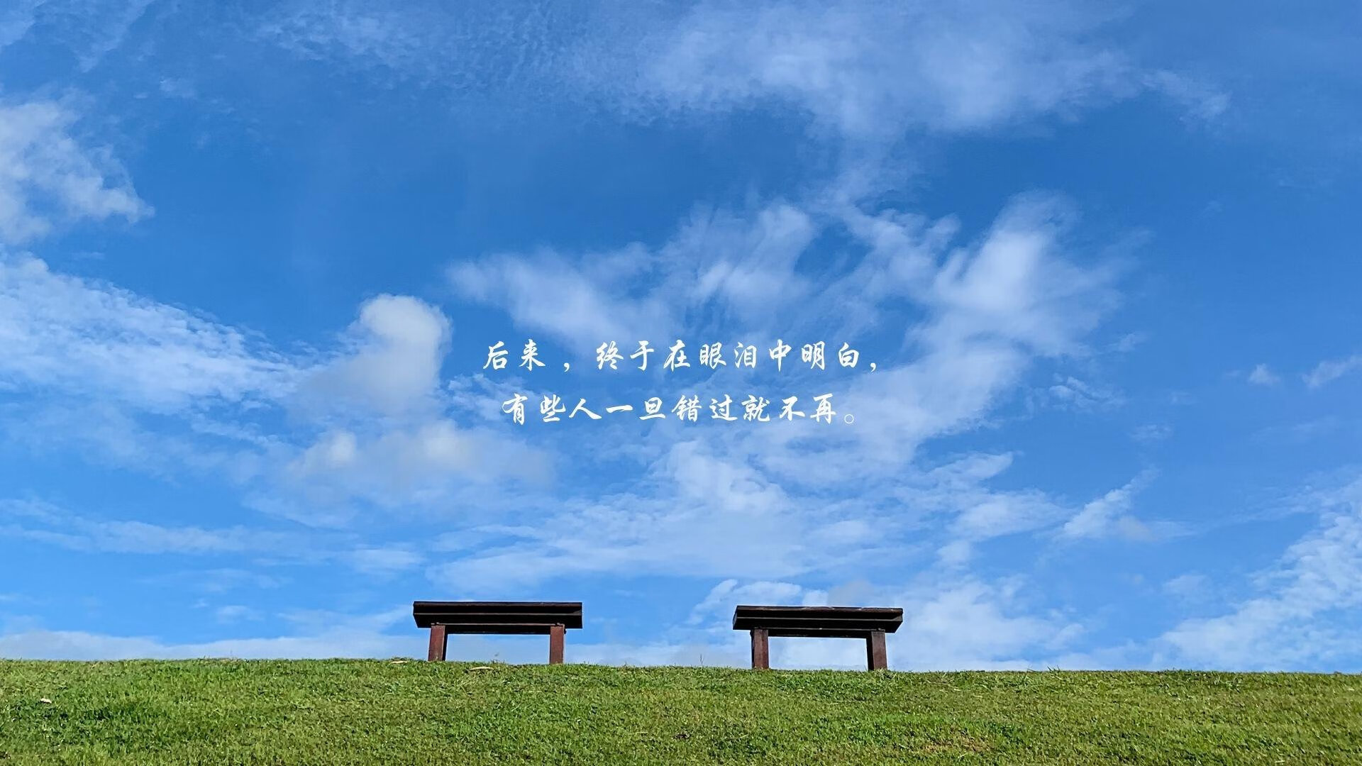 拓展与选择