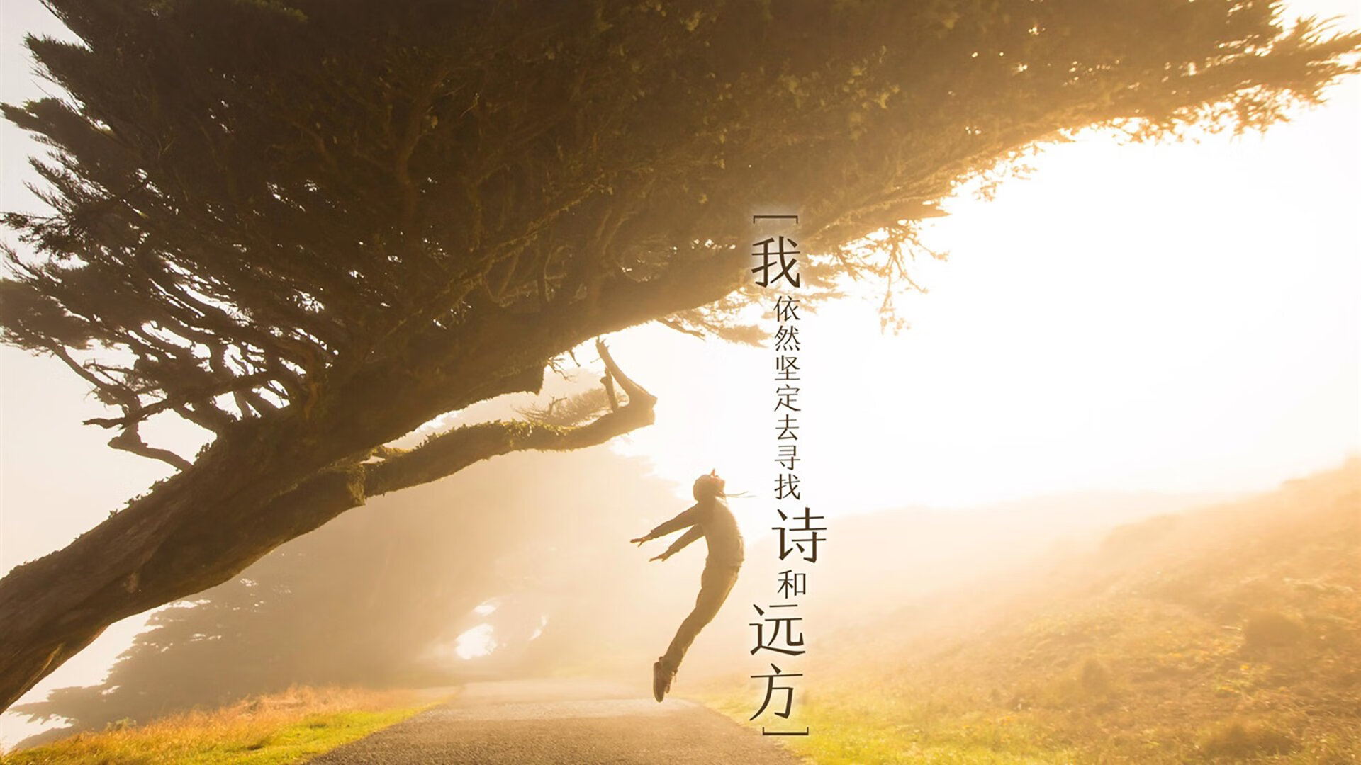 诸神之战，2026世界杯半决赛，法兰西铁骑踏破摩洛哥奇迹，福登加冕新王