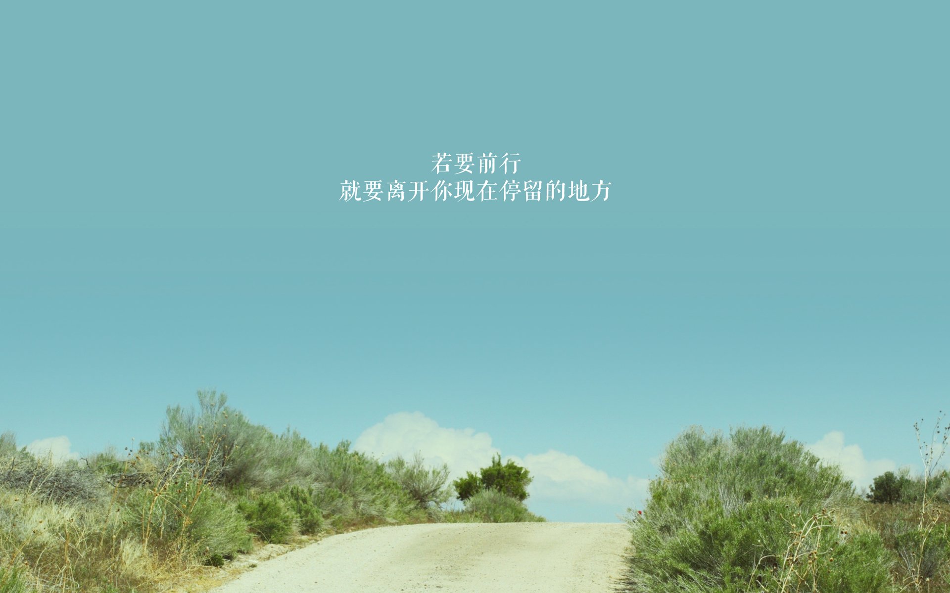时光的褶皱里,藏着唯一的指挥家,布罗佐维奇与F组那不为人知的瞬间