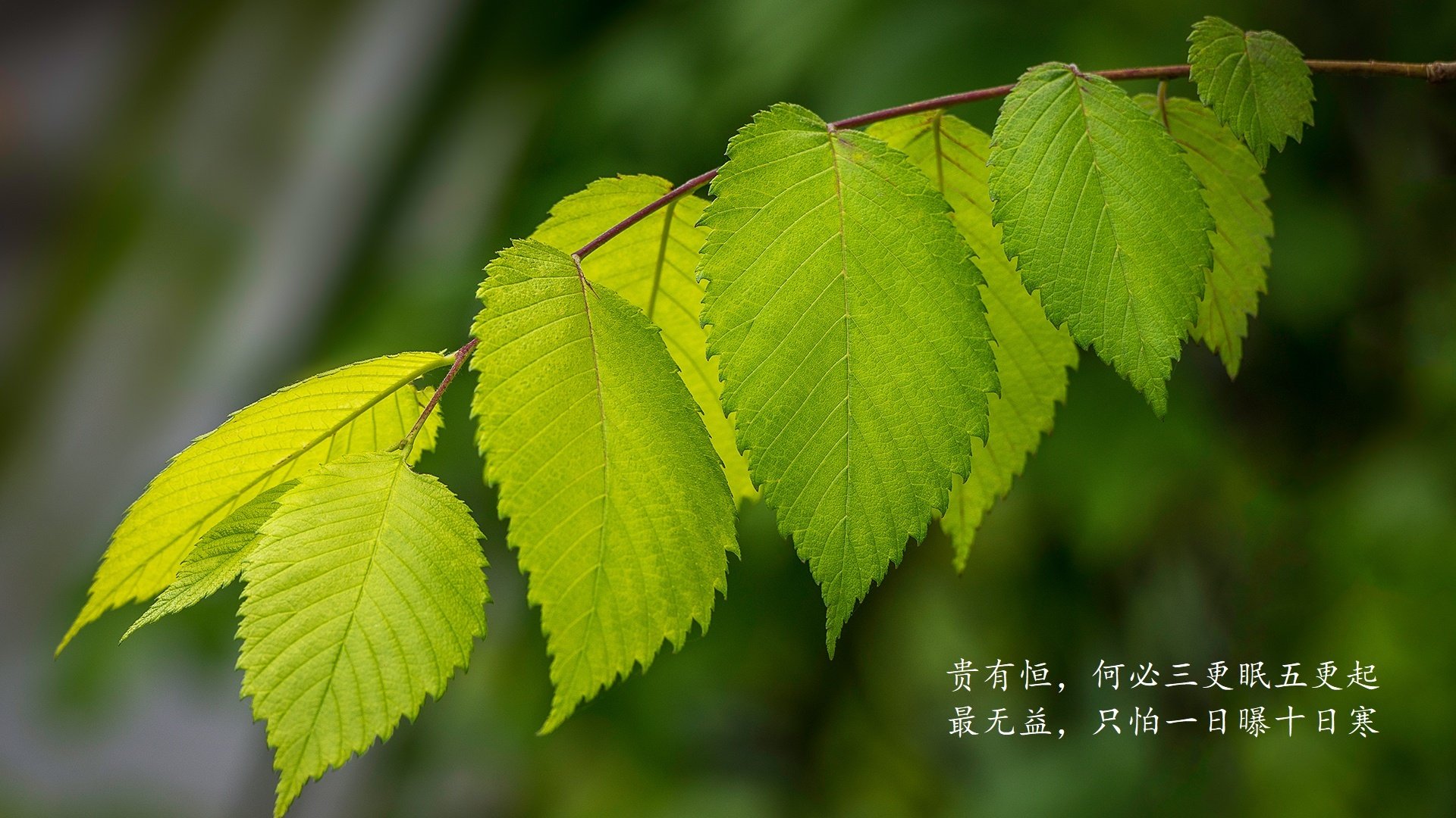 充满戏剧性，让我为你打造一篇独一无二的文章